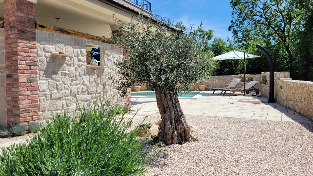 Villa Alara - Charming Villa With Heated Swimming Pool Milohnici Exterior foto